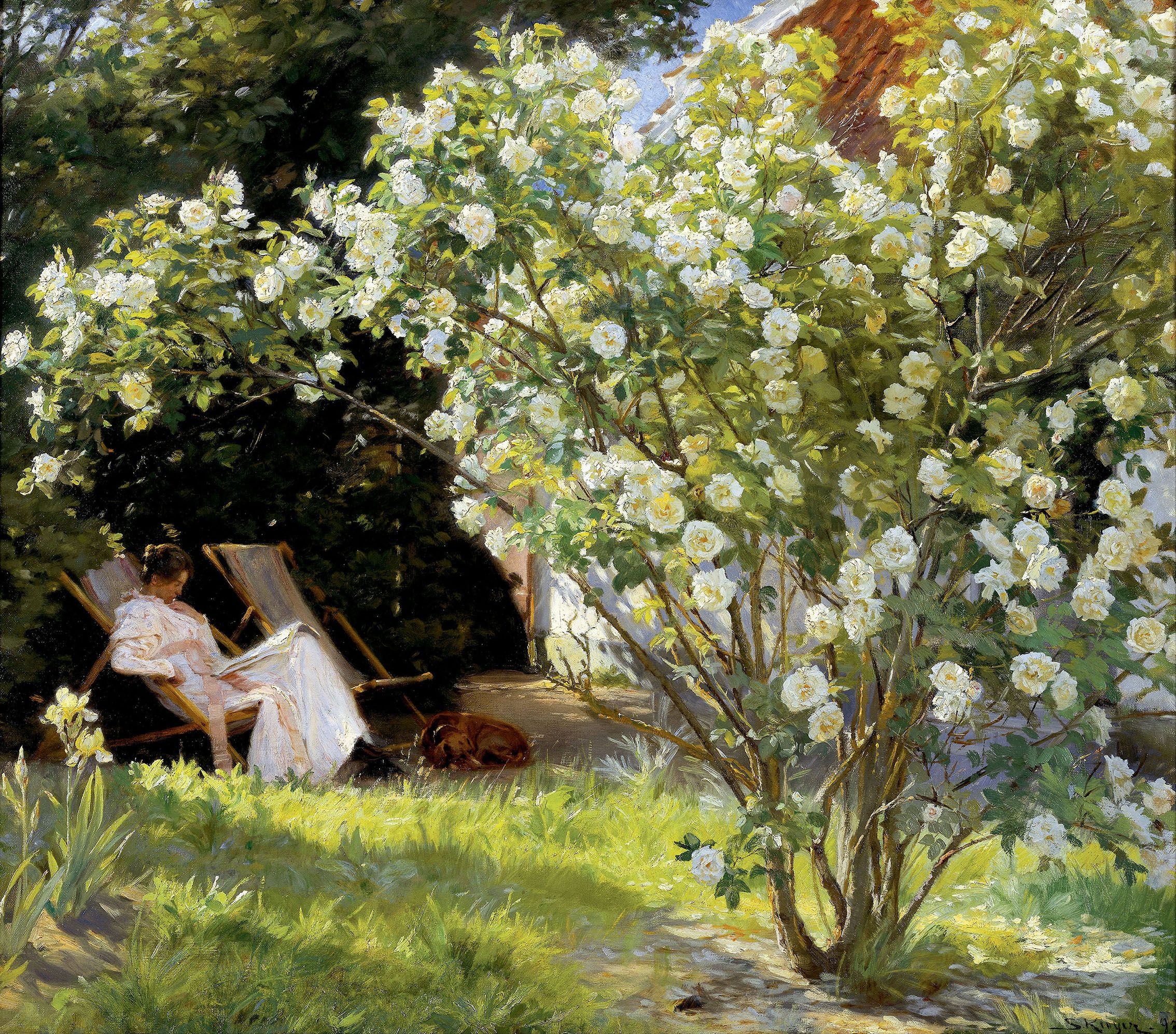 1892 Roser. Haveparti fra Skagen med Kunstnerens Hustru siddende i en havestol