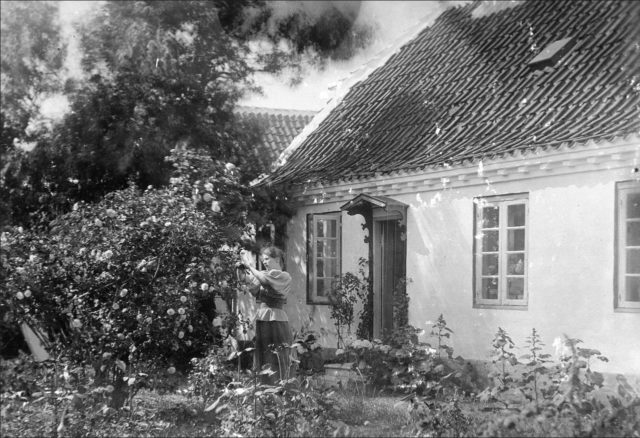 Marie Krøyer i haven ved Madam Bendsens hus - 1893